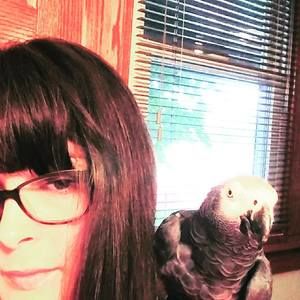 Meet your Posher, Lindsey